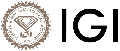 IGI logo